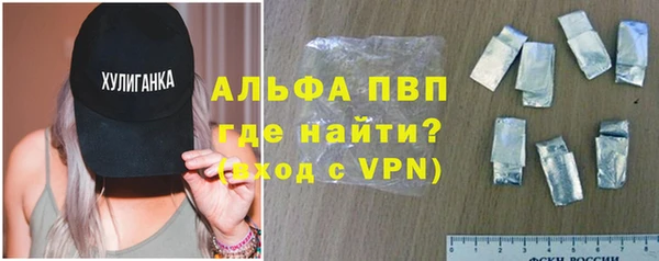 apvp Инсар