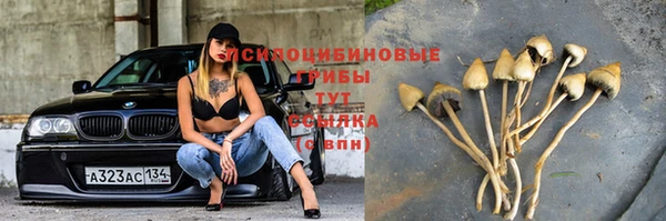 мдма Новозыбков