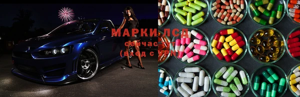 мдма Новозыбков