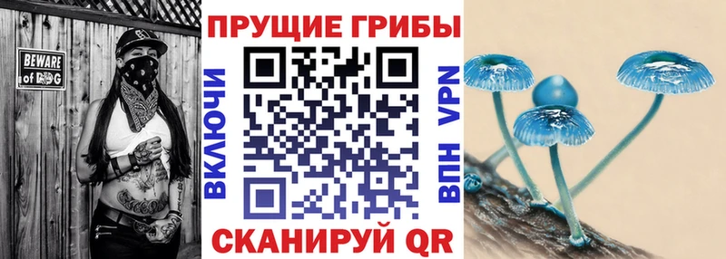 Галлюциногенные грибы Psilocybine cubensis  Аксай 