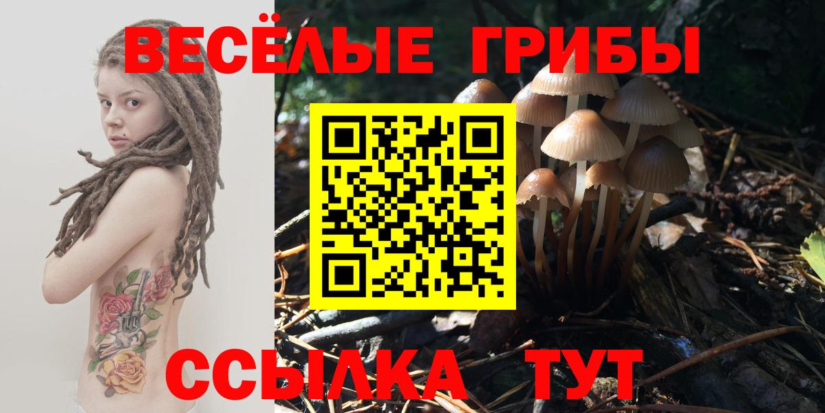 Галлюциногенные грибы мицелий Аксай